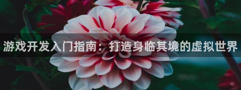 沐鸣2娱乐注册平台