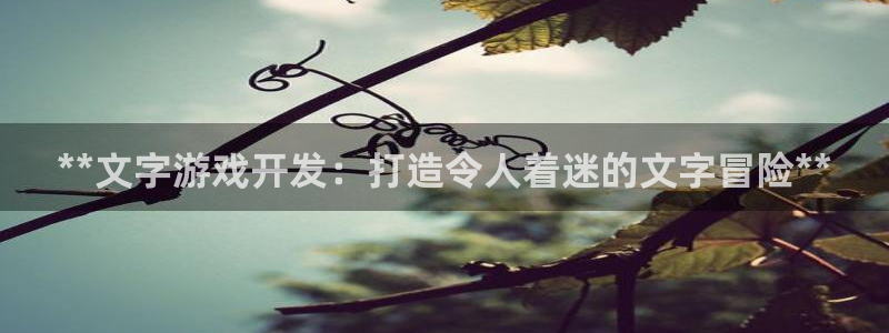 沐鸣2开户