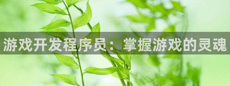 沐鸣娱乐2注册地址