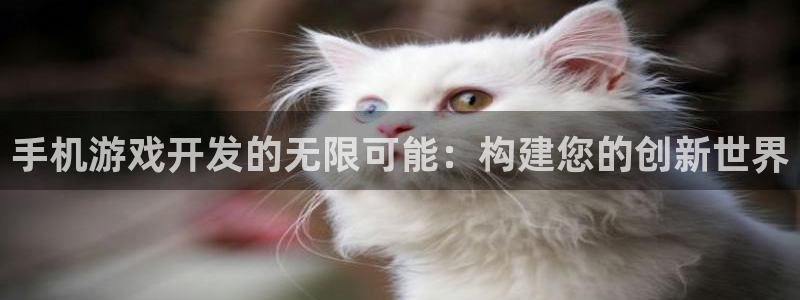 沐鸣2平台官网：手机游戏开发的无限可能：构建您的创新世界