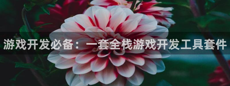 沐鸣2代理注册：游戏开发必备：一套全栈游戏开发工具套件
