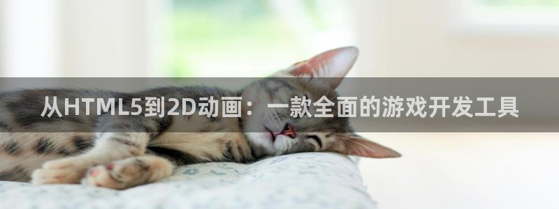 沐鸣娱乐2官方平台投诉：从HTML5到2D动画：一款全面的游戏开发工具