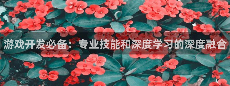 沐鸣2注册：游戏开发必备：专业技能和深度学习的深度融合