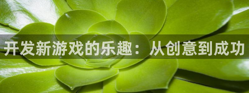 沐鸣2娱乐注册平台：开发新游戏的乐趣：从创意到成功