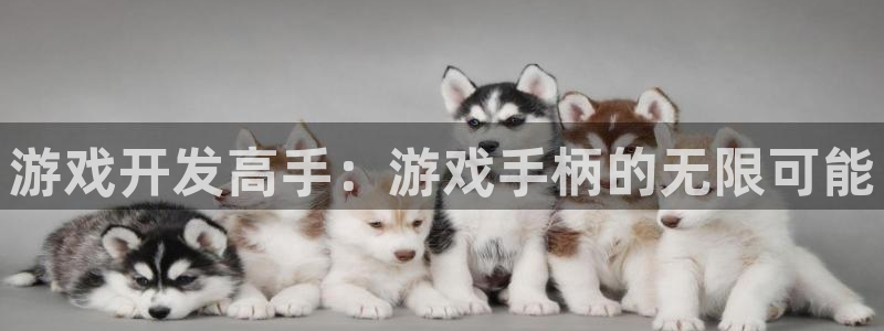 沐鸣2注册登陆：游戏开发高手：游戏手柄的无限可能