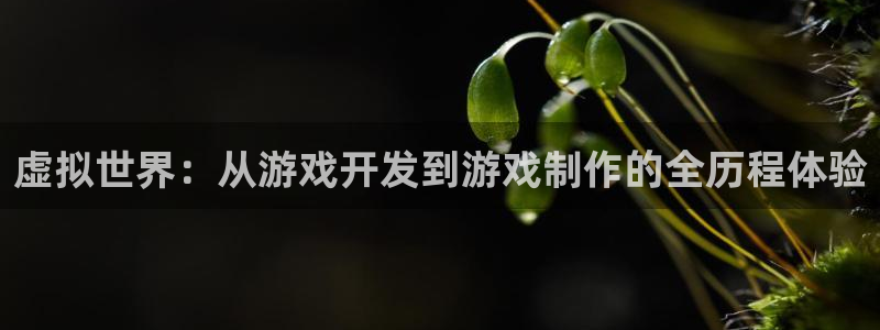 沐鸣2注册：虚拟世界：从游戏开发到游戏制作的全历程体验