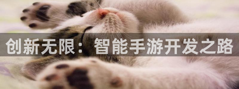 沐鸣娱乐2官方网站注册链接：创新无限：智能手游开发之路
