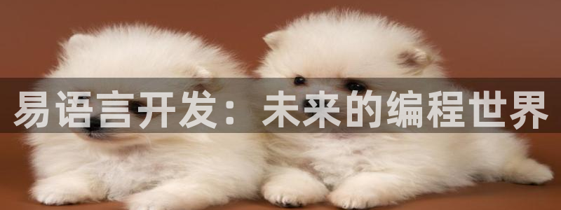 沐鸣娱乐2多彩平台：易语言开发：未来的编程世界
