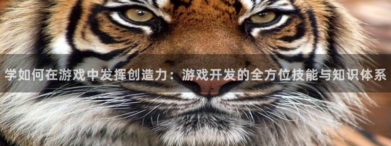 沐鸣娱乐2注册官网：学如何在游戏中发挥创造力：游戏开发的全方位技能与知识体系