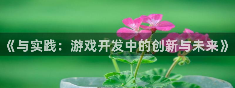沐鸣2客服：《与实践：游戏开发中的创新与未来》