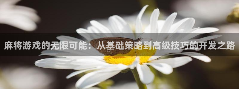沐鸣2平台开户：麻将游戏的无限可能：从基础策略到高级技巧的开发之路