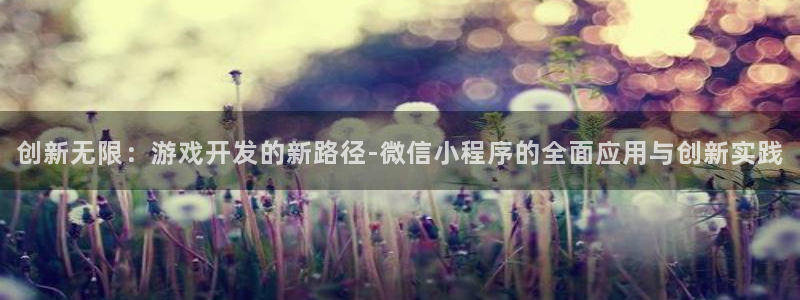 沐鸣2平台主管：创新无限：游戏开发的新路径-微信小程序的全面应用与创新实践