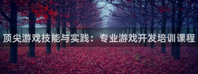 沐鸣代理22927：顶尖游戏技能与实践：专业游戏开发培训课程