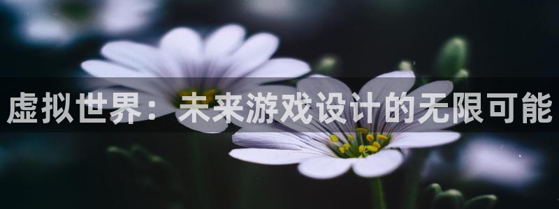 沐鸣娱乐2登录平台官网：虚拟世界：未来游戏设计的无限可能