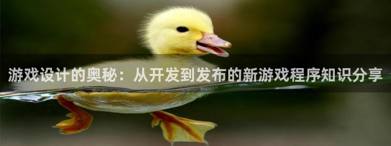 沐鸣娱乐2手机版：游戏设计的奥秘：从开发到发布的新游戏程序知识分享