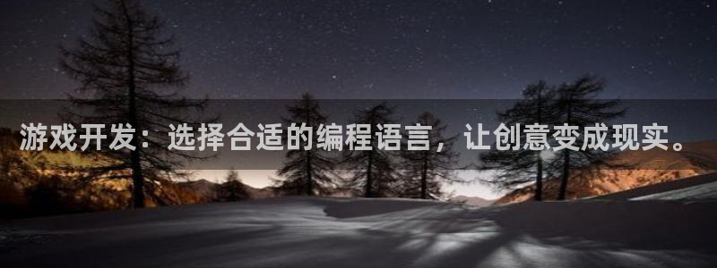 沐鸣娱乐2登陆不上怎么办：游戏开发：选择合适的编程语言，让创意变成现实。