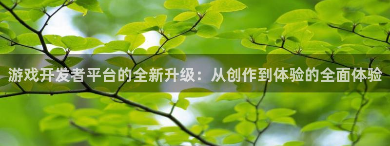 沐鸣2主管：游戏开发者平台的全新升级：从创作到体验的全面体验