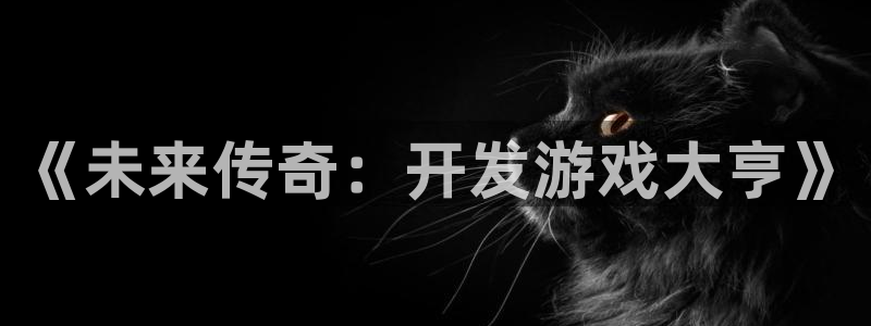 沐鸣娱乐2登录平台官网网址：《未来传奇：开发游戏大亨》